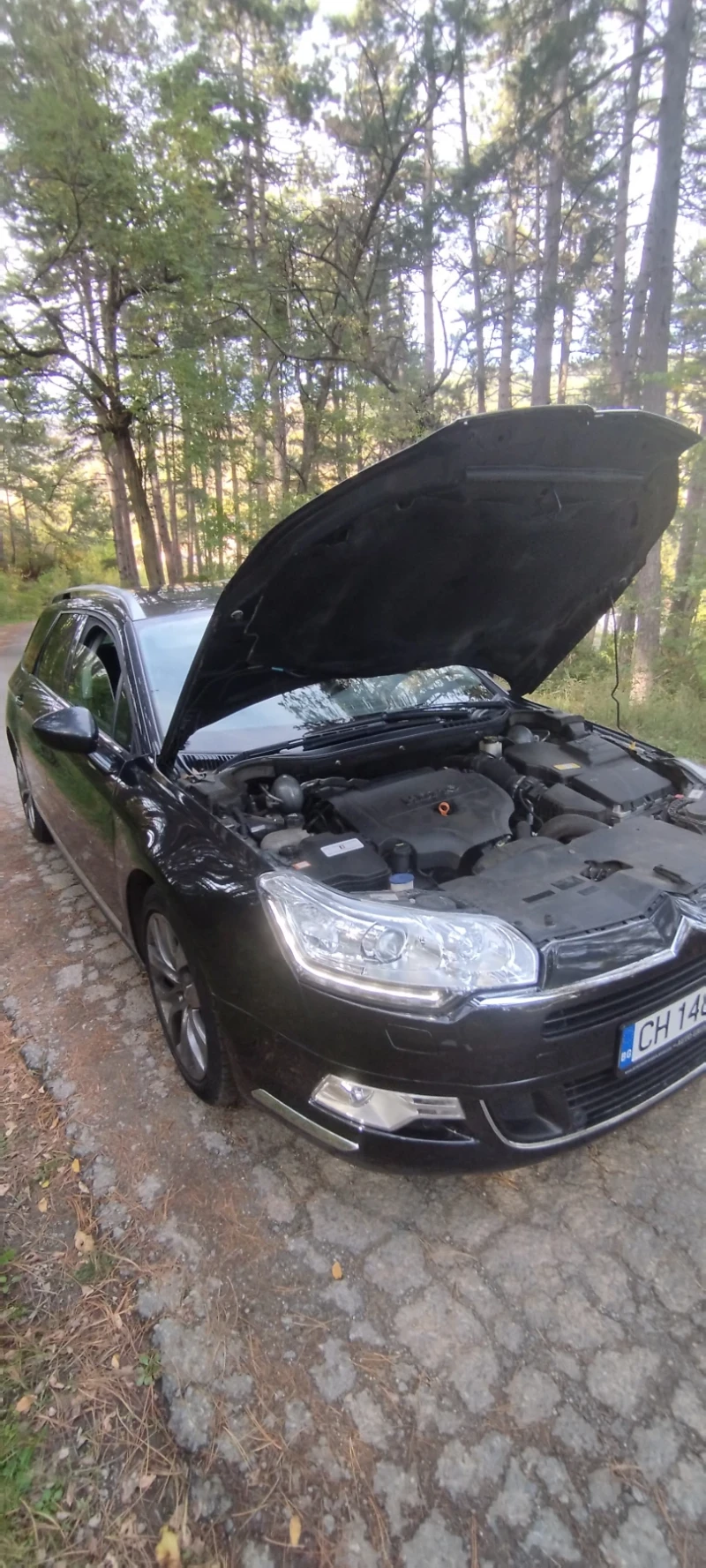 Citroen C5, снимка 2 - Автомобили и джипове - 47511858