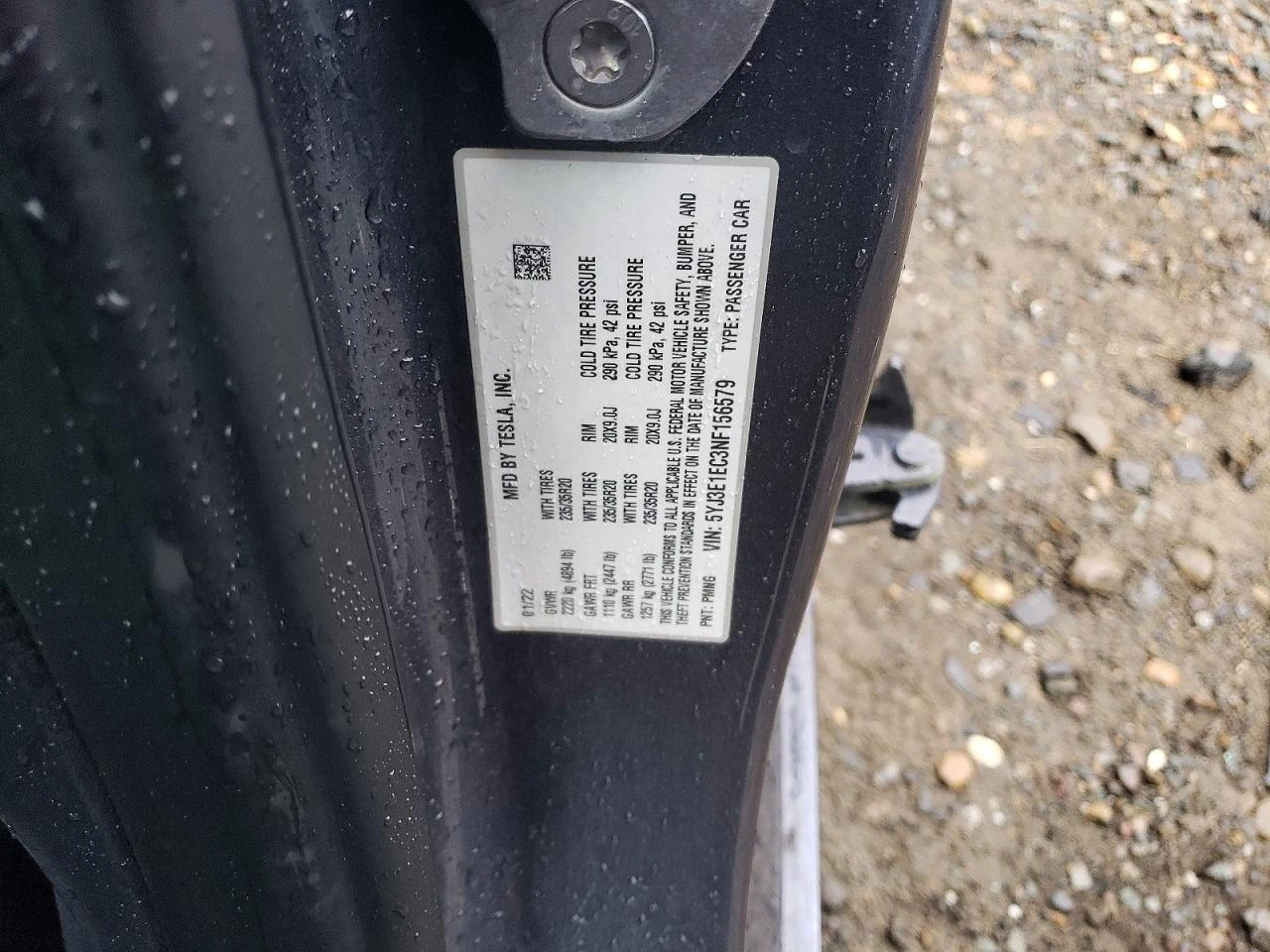 Tesla Model 3, снимка 13 - Автомобили и джипове - 54398926
