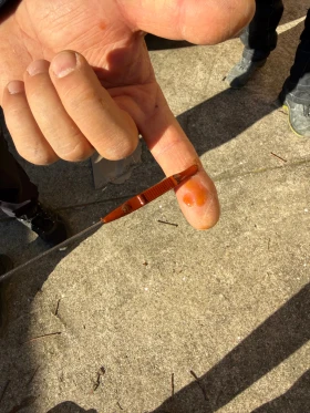 Kia Seltos 2.0 MPI AWD 4x4 - 22500 € / 44006.17 лв. - 52640359 13