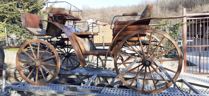 Друг вид Внос