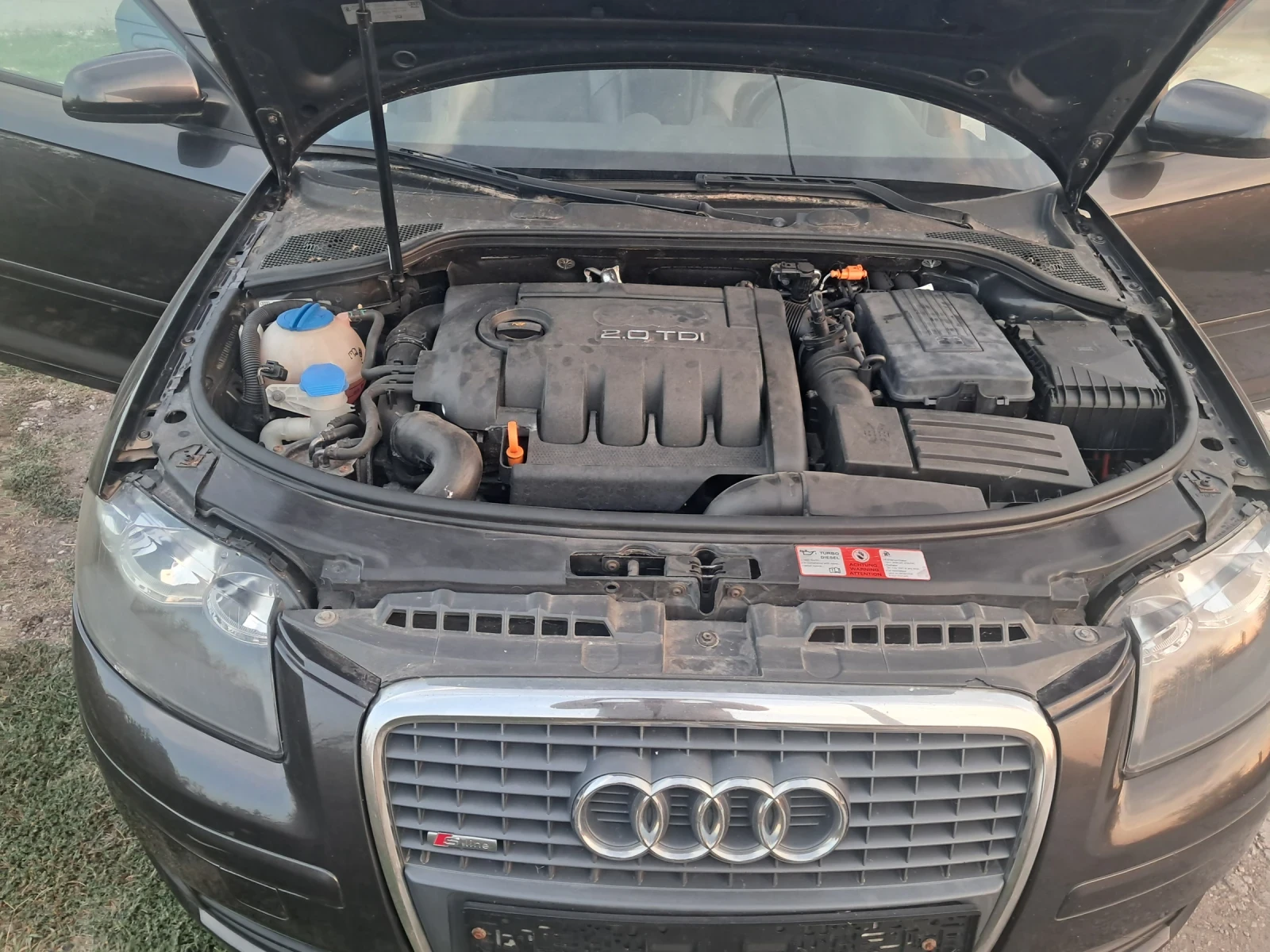 Audi A3 S-laan Sport beck 8P - изображение 8