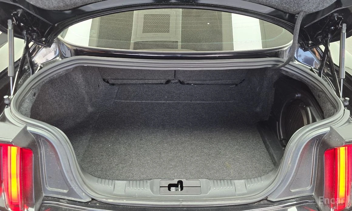 Ford Mustang 5.0* GT-500 PACK* CARBON* ОБДУХВАНЕ* NAVI* ПОДГРЕВ, снимка 16 - Автомобили и джипове - 53999620