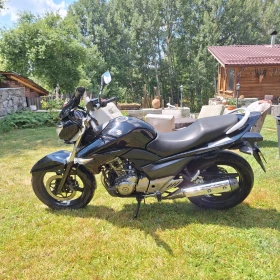 Suzuki Inazuma, снимка 2