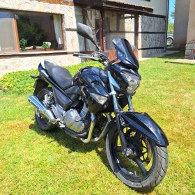 Suzuki Inazuma, снимка 1