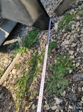 Друг вид Внос, снимка 7