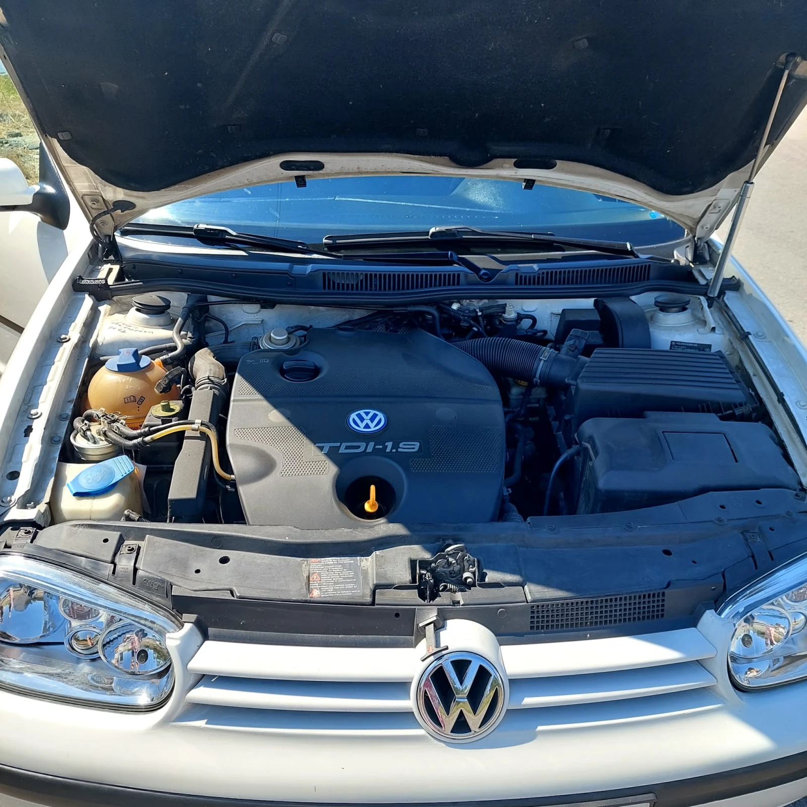 VW Golf
