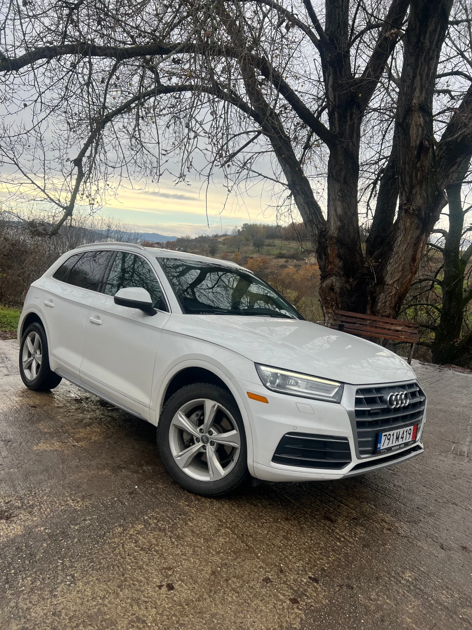 Audi Q5  - изображение 6
