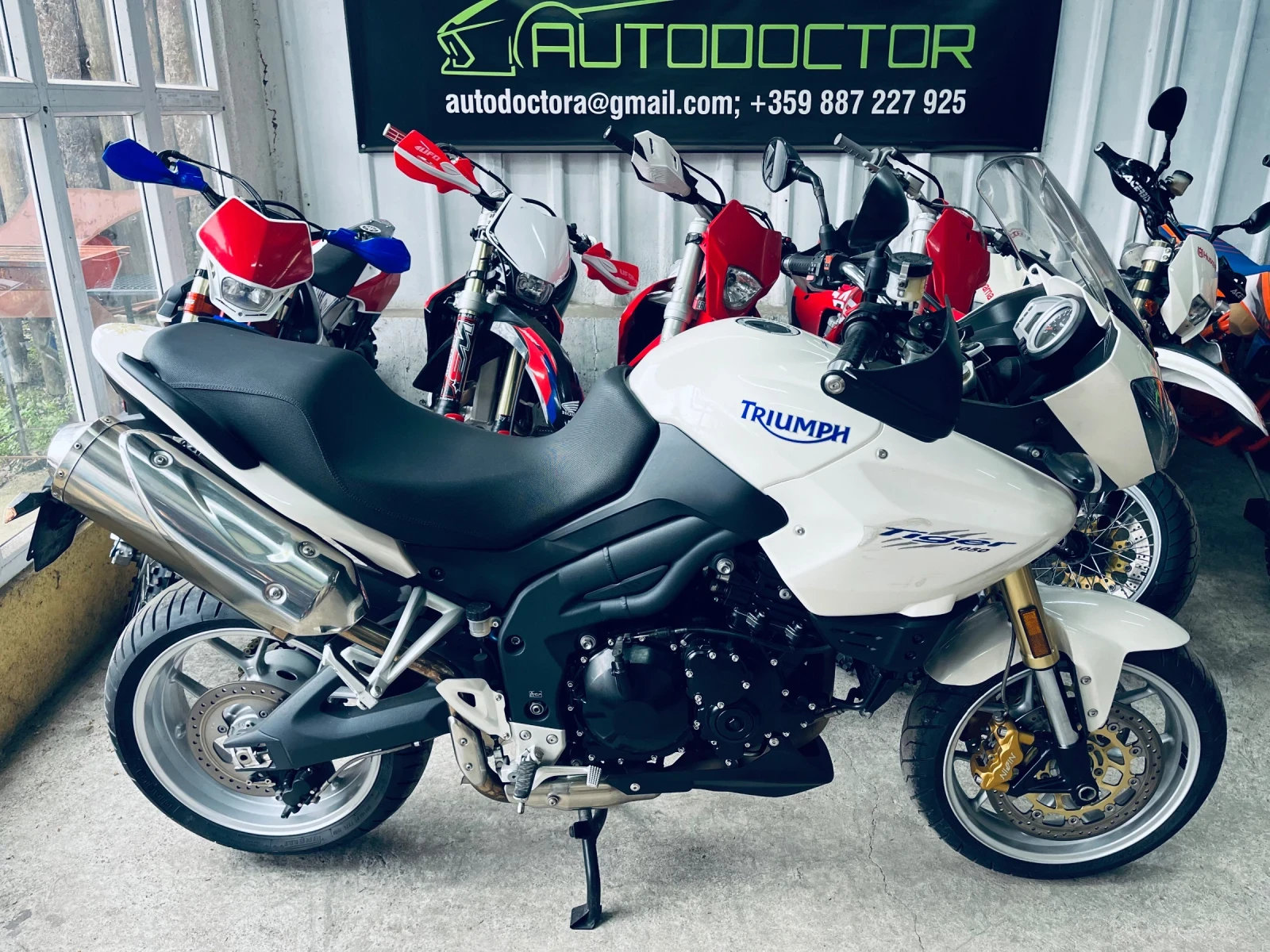 Triumph Tiger 1050 2009
