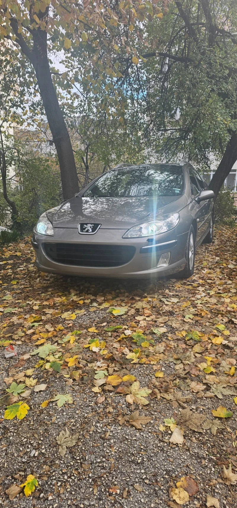 Peugeot 407, снимка 16 - Автомобили и джипове - 52306513