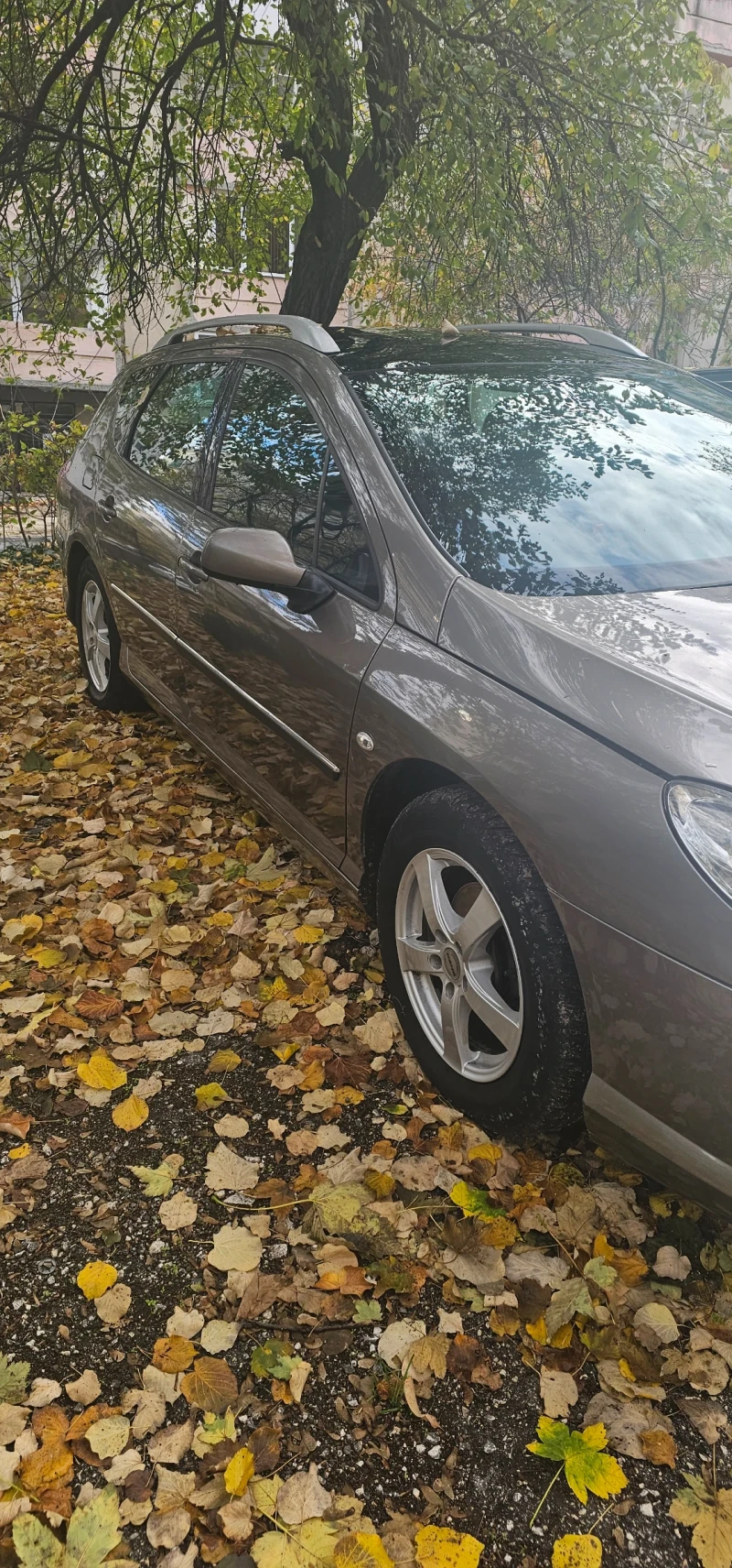 Peugeot 407