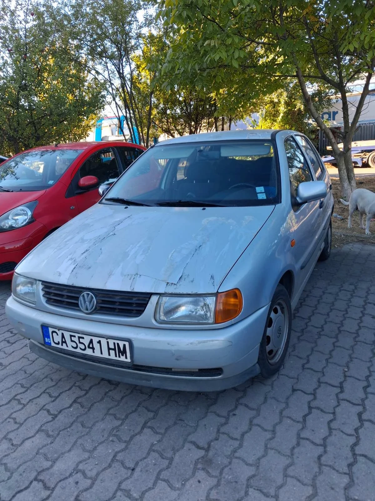 VW Polo