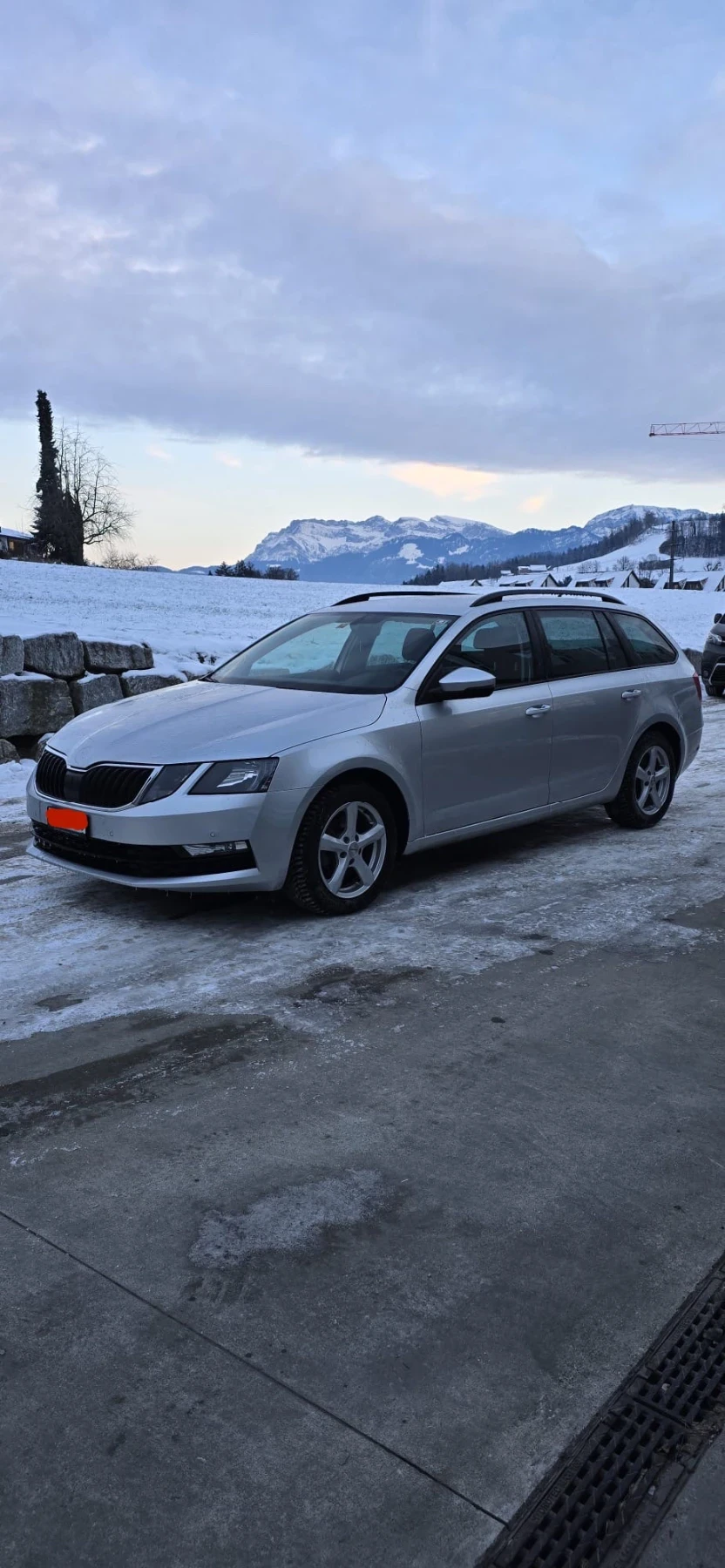 Skoda Octavia 4x4, снимка 1