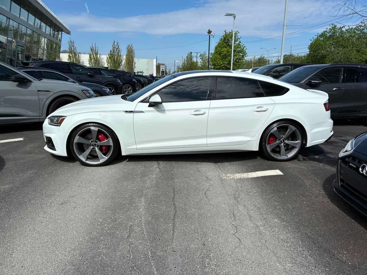 Audi S5 Technik/ПАНОРАМА/ДИСТРОНИК/360/OT AUDI, снимка 3 - Автомобили и джипове - 54611801