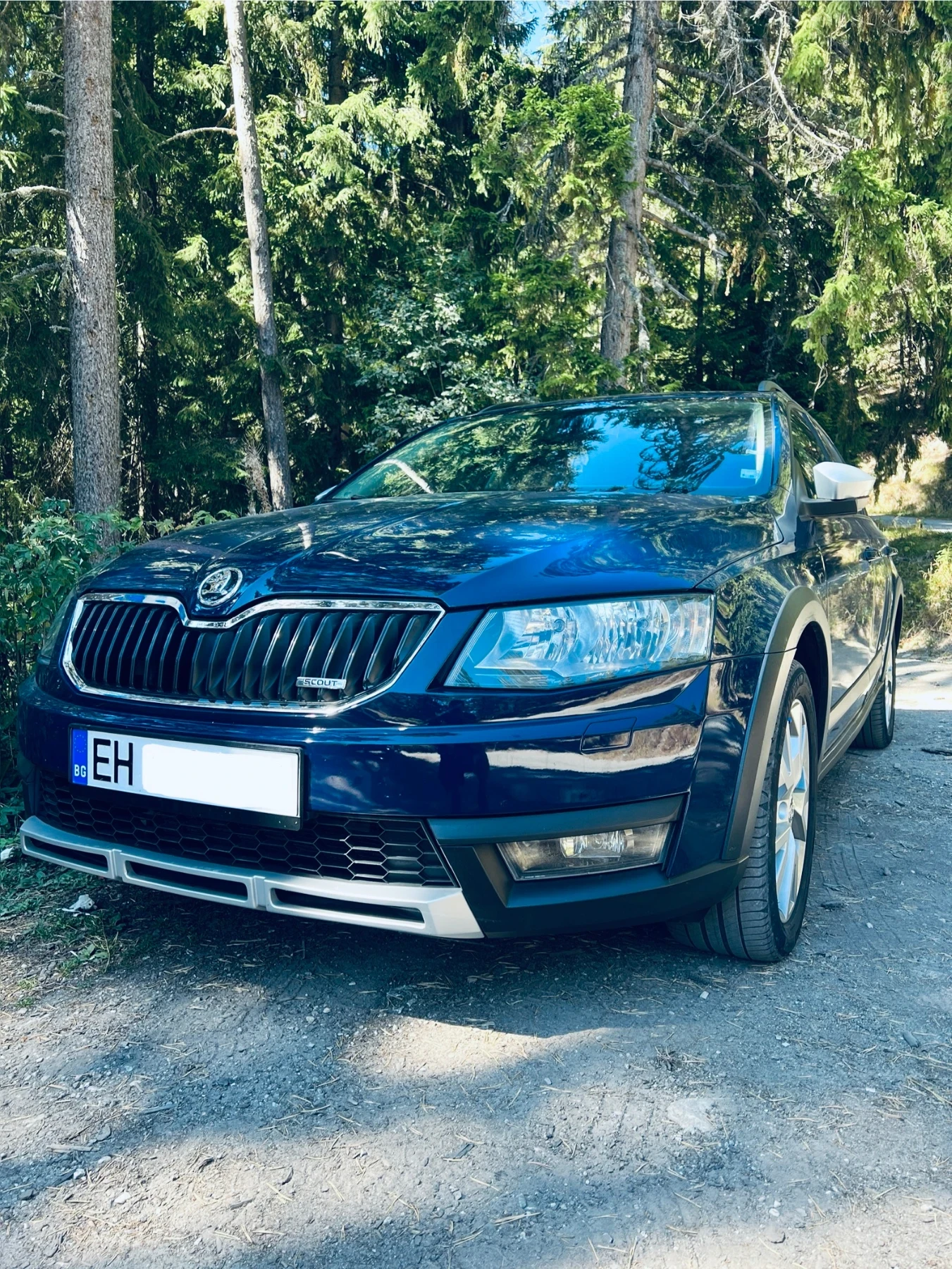 Skoda Octavia SCOUT, снимка 1