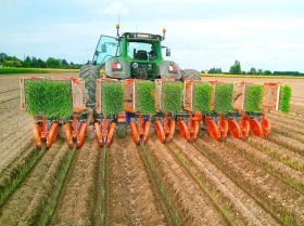 Специализирани машини Разсадопосадъчни машини Checchi&Magli модел Trium 45, снимка 5