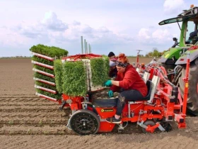 Специализирани машини Разсадопосадъчни машини Checchi&Magli модел Trium 45, снимка 4