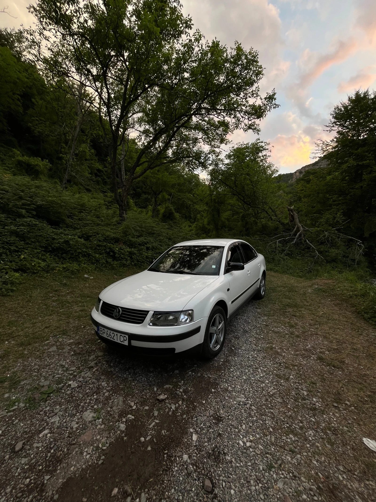 VW Passat  - изображение 7