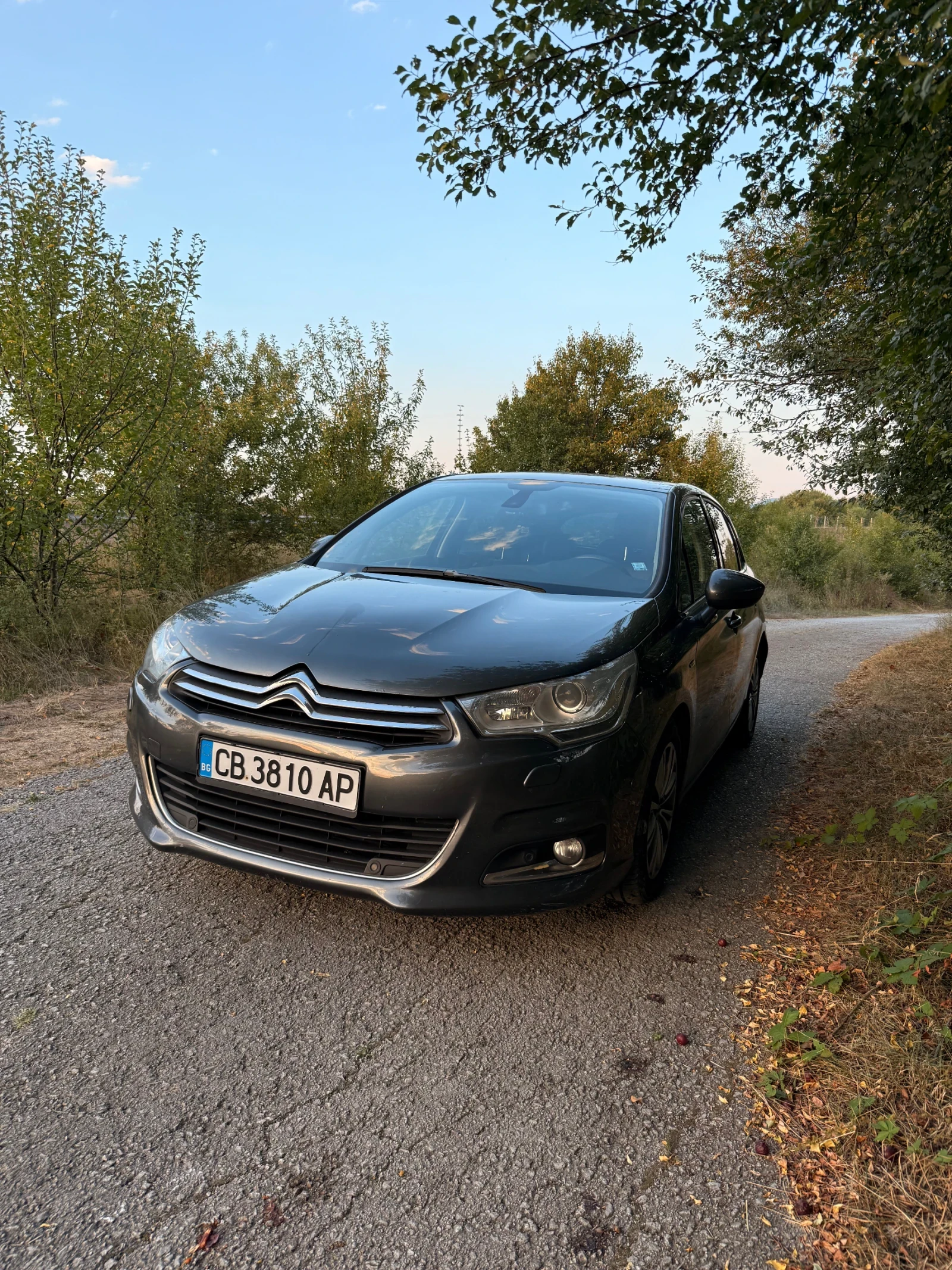 Citroen C4 Exclusive , снимка 2 - Автомобили и джипове - 55787421