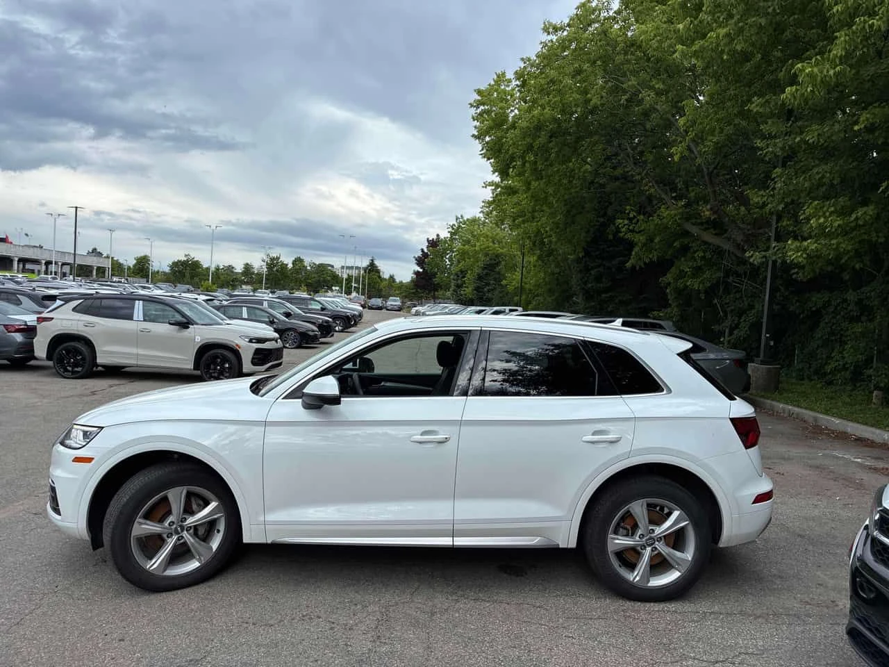 Audi Q5 * Progressiv * ПОДГРЕВИ* ПАНОРАМА* , снимка 2 - Автомобили и джипове - 55062649