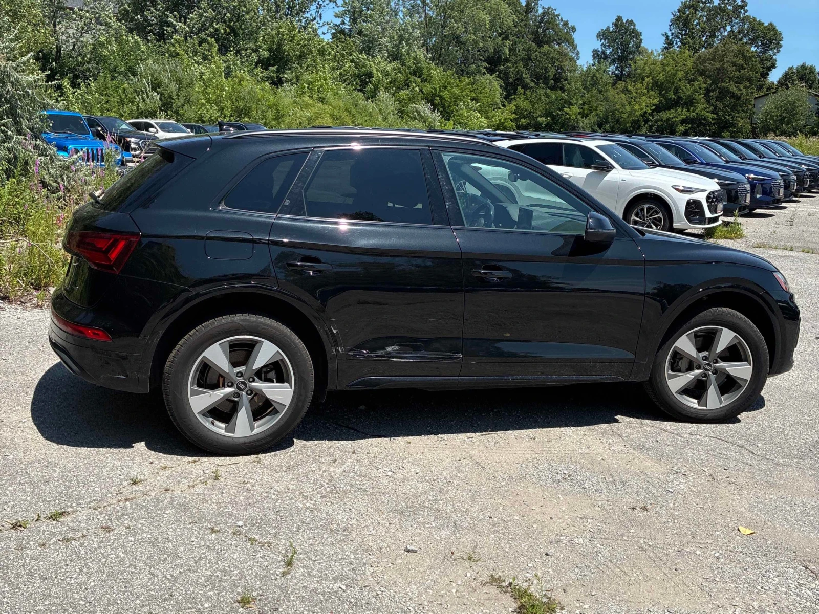 Audi Q5 * CARFAX * БЕЗ ЗАБЕЛЕЖКА * АВТОКРЕДИТ, снимка 3 - Автомобили и джипове - 55948166