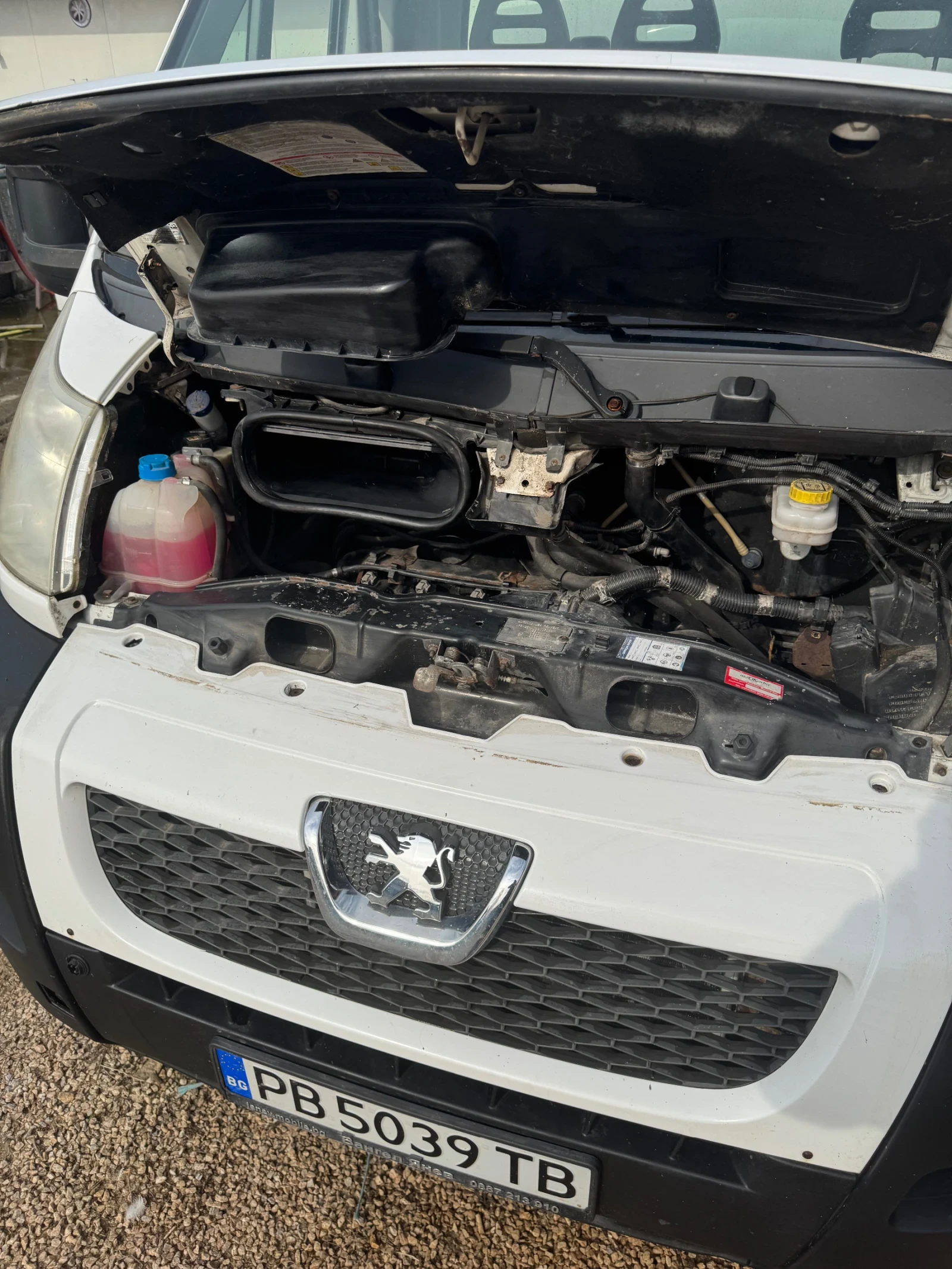 Peugeot Boxer Хладилен , снимка 6 - Бусове и автобуси - 52005996