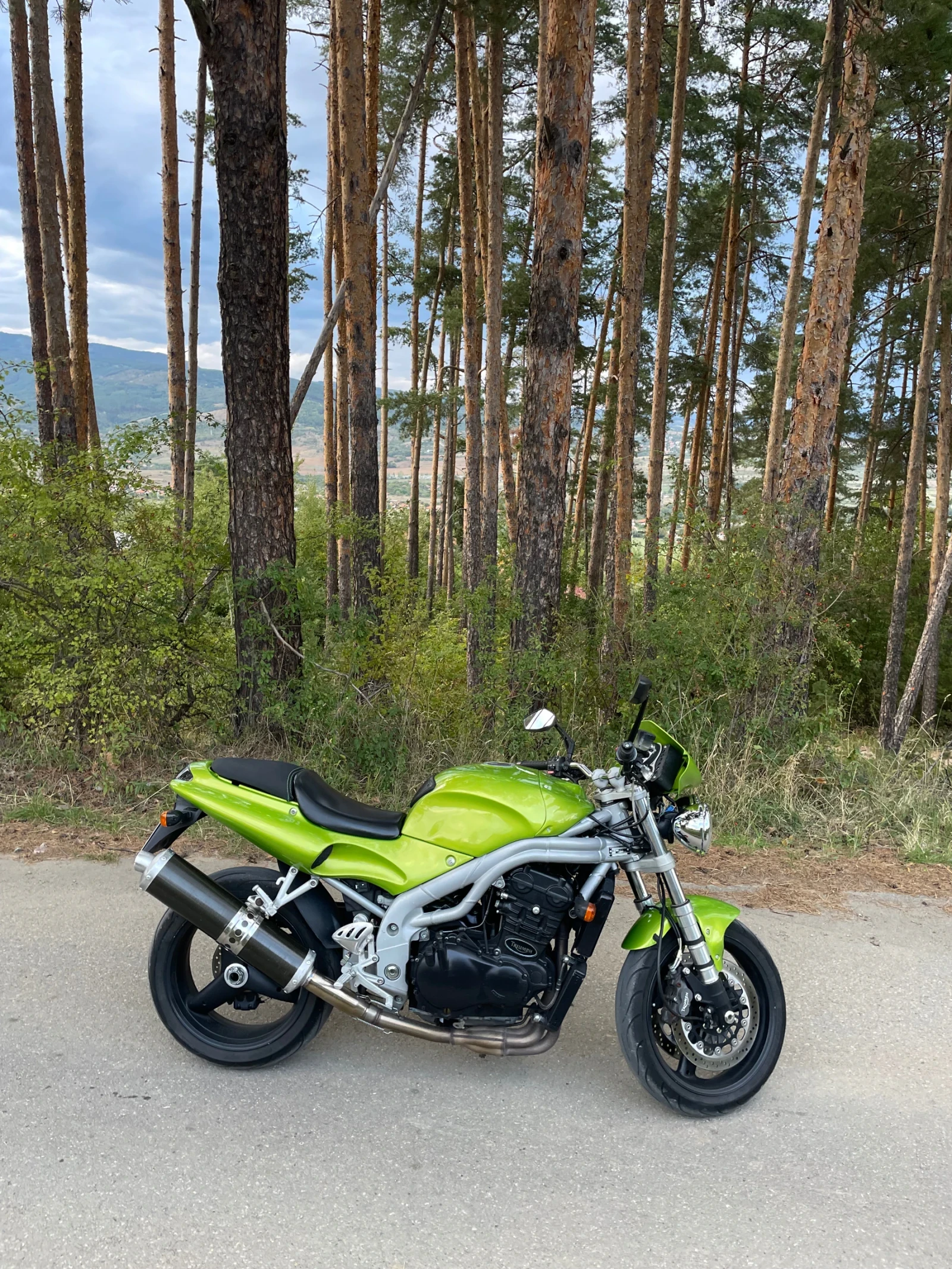 Triumph Speed Triple 955i - изображение 7