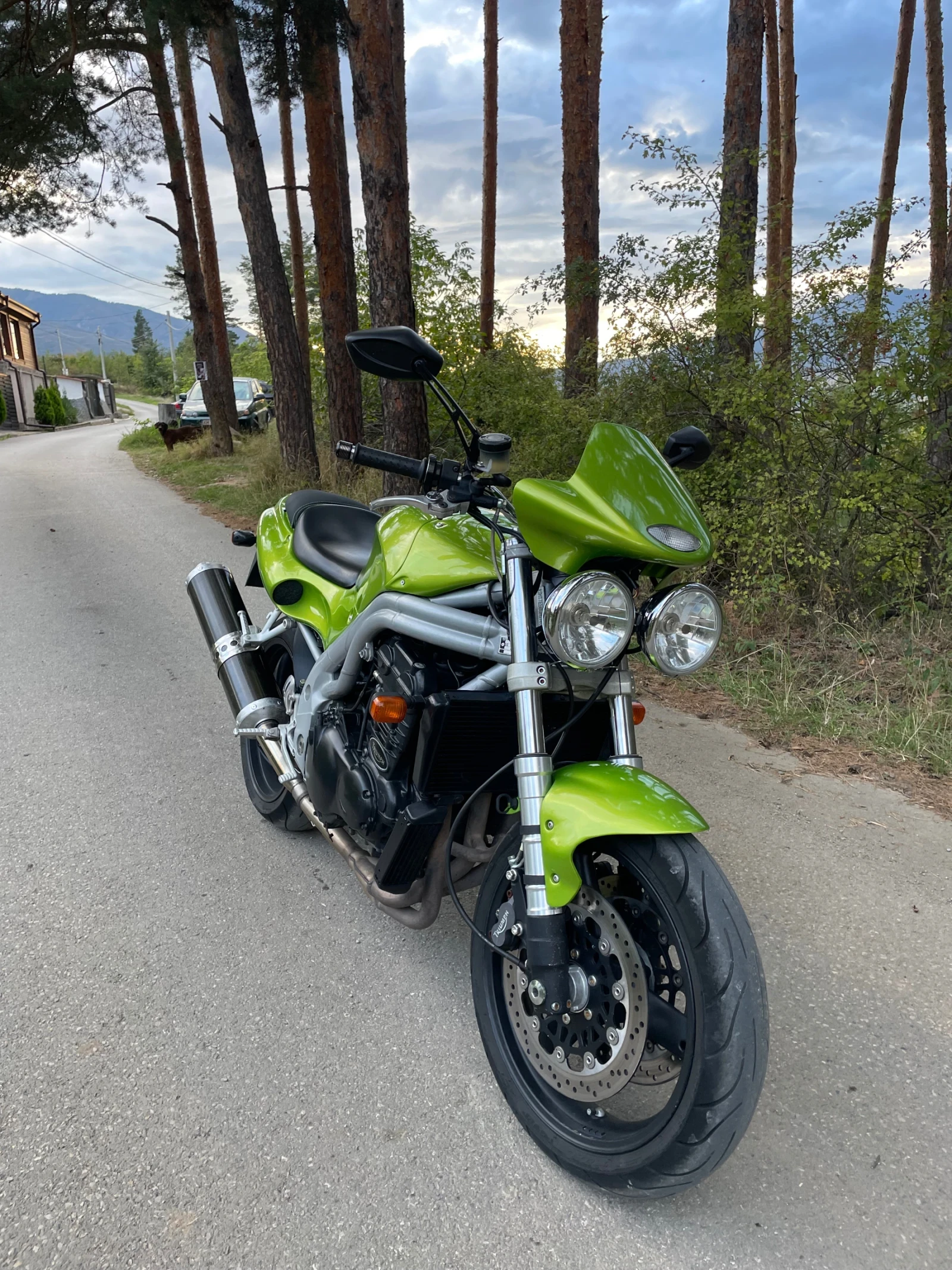 Triumph Speed Triple 955i - изображение 2