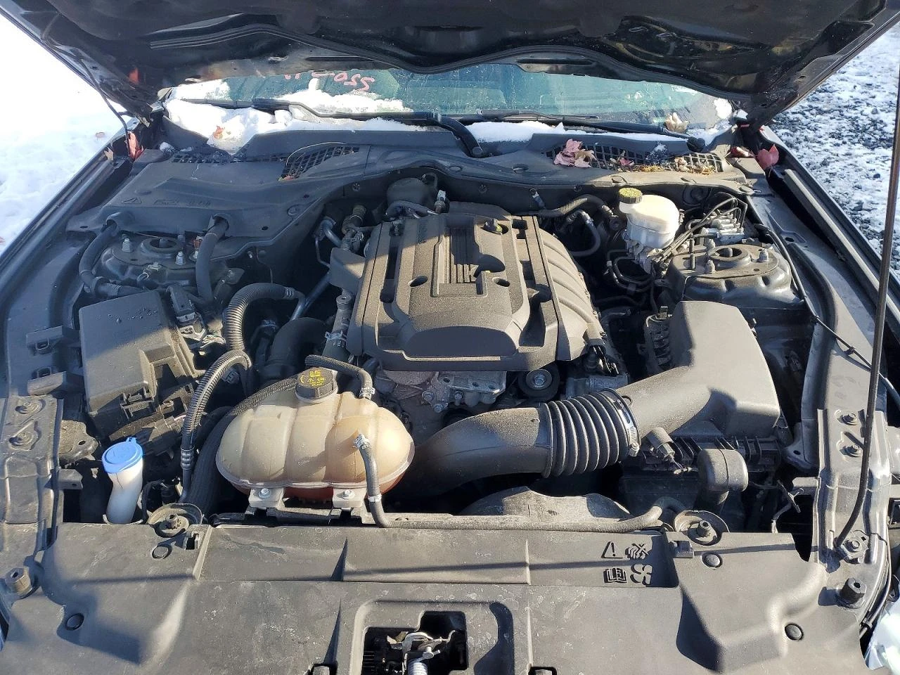 Ford Mustang ECOBOOST/����������� �� 204 ���� �� ����� | Mobile.bg � ����������� 11