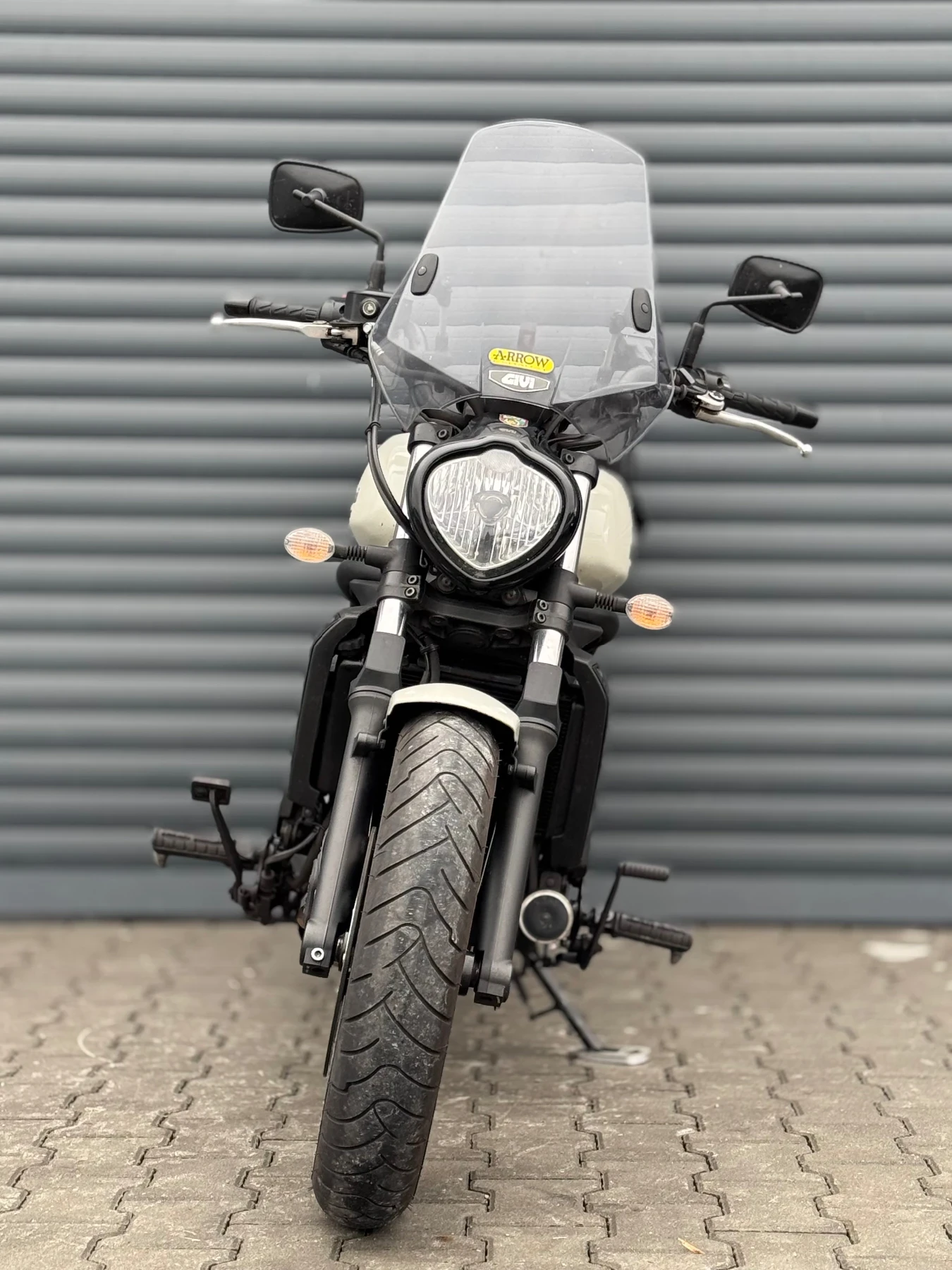 Kawasaki Vulcan Arrow Rebel - изображение 3