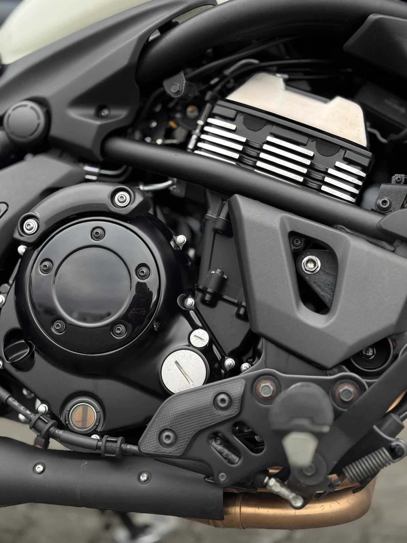 Kawasaki Vulcan Arrow Rebel - изображение 8