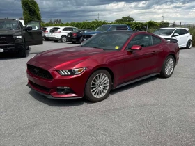 ������ Ford Mustang