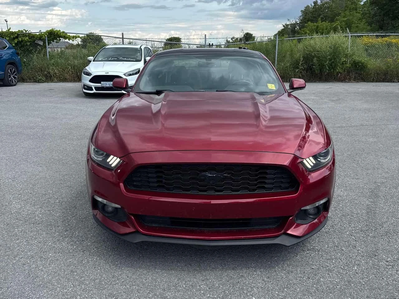 Ford Mustang * V6 * CARFAX * ���� �� �� | Mobile.bg � ����������� 6