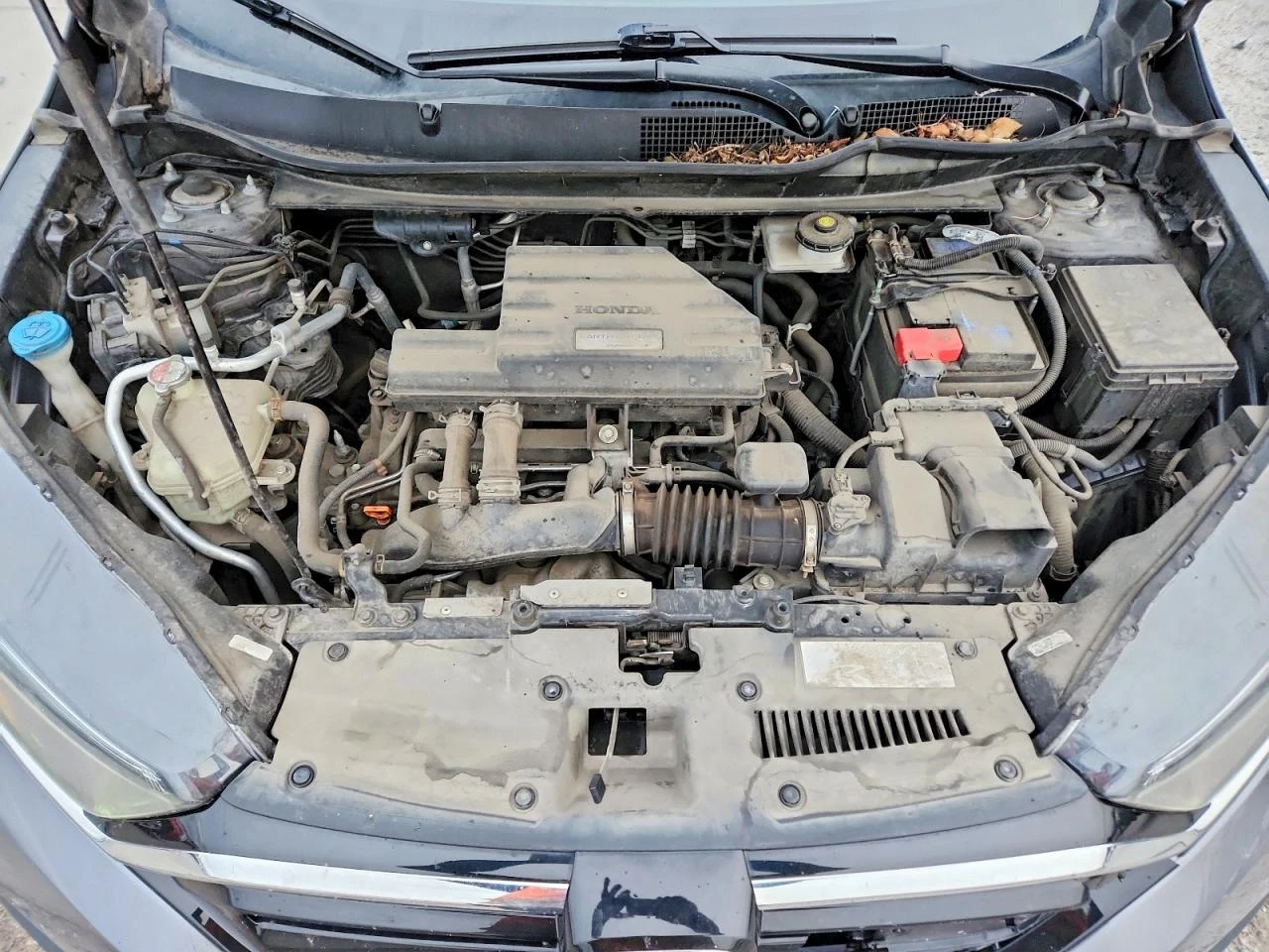 Honda Cr-v 1.5l Exl | Mobile.bg � ����������� 12