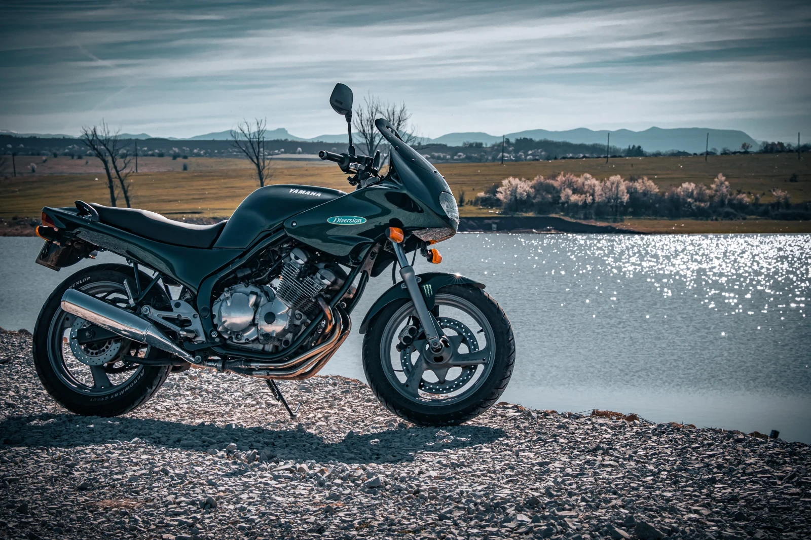 Yamaha XJ 600 Diversion - изображение 5