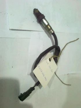 ����� �� �������� �� ������ ����� �� ���� � ���� �����