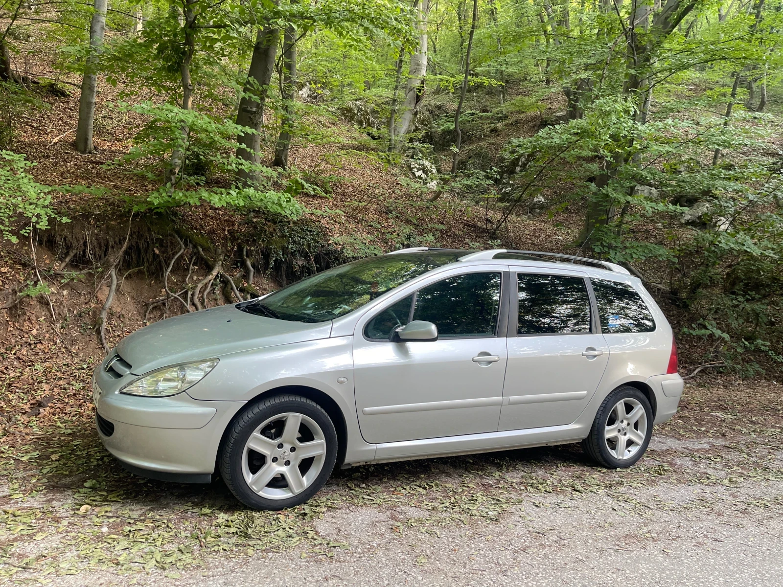 Peugeot 307 SW 2.0 HDI 110 - изображение 3