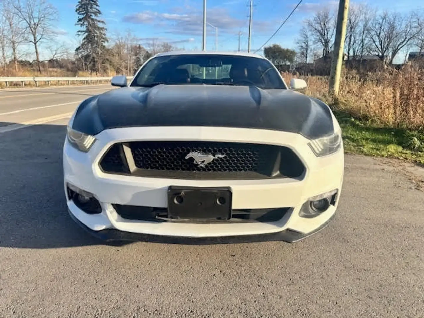 Ford Mustang 2.3 Eco Boost* КОЖА* NAVI* ПОДГРЕВ* ОБДУХВАНЕ* , снимка 8 - Автомобили и джипове - 54552961