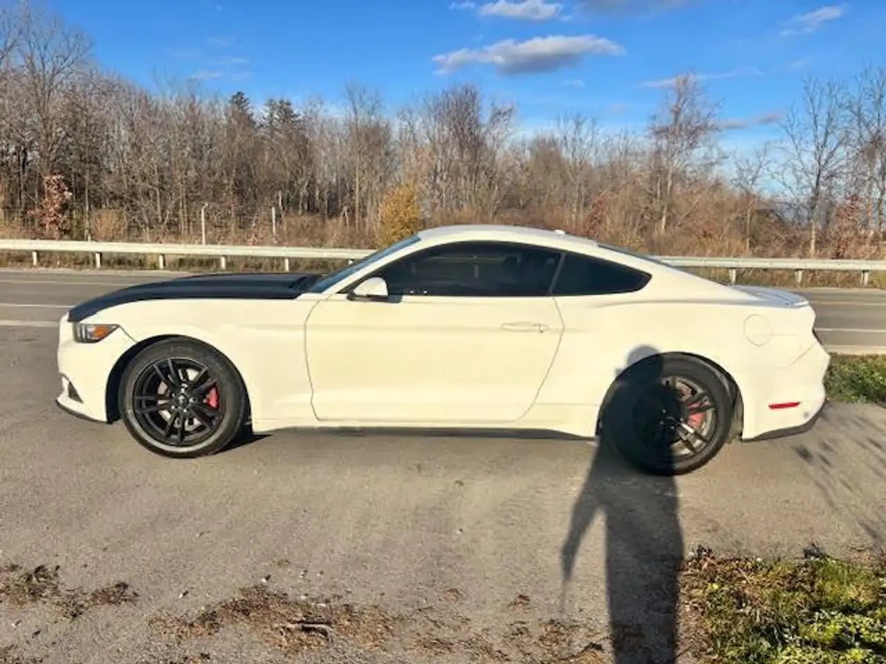 Ford Mustang 2.3 Eco Boost* КОЖА* NAVI* ПОДГРЕВ* ОБДУХВАНЕ* , снимка 6 - Автомобили и джипове - 54552961