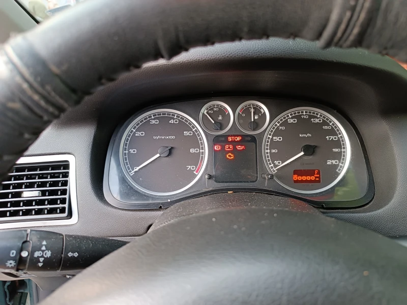 Peugeot 307, снимка 8 - Автомобили и джипове - 51889823