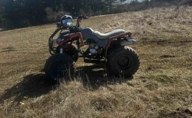 Shineray XY 250, снимка 6