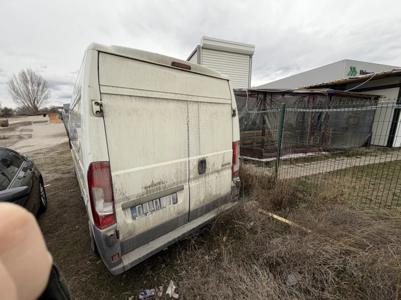 Peugeot Boxer Хладилен, снимка 4 - Бусове и автобуси - 53124639