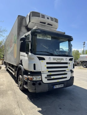 ����� �� �������� �� Scania P 230