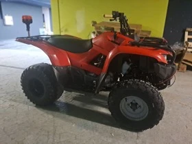     Yamaha Grizzly 350  